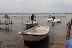 db_Boote_ins_Wasser_2012_011