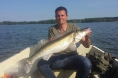 db_80cm_Zander1