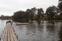 db_Stegabbau_0441