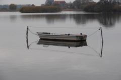 db_Stegabbau_1081