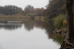 db_Stegabbau_1191