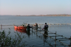 db_DSCF7094