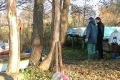 db_DSCF7099