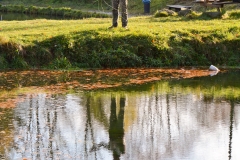 Fliegenfischen mit Jugendgruppe und Achim Stahl