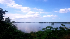 20200726_062704